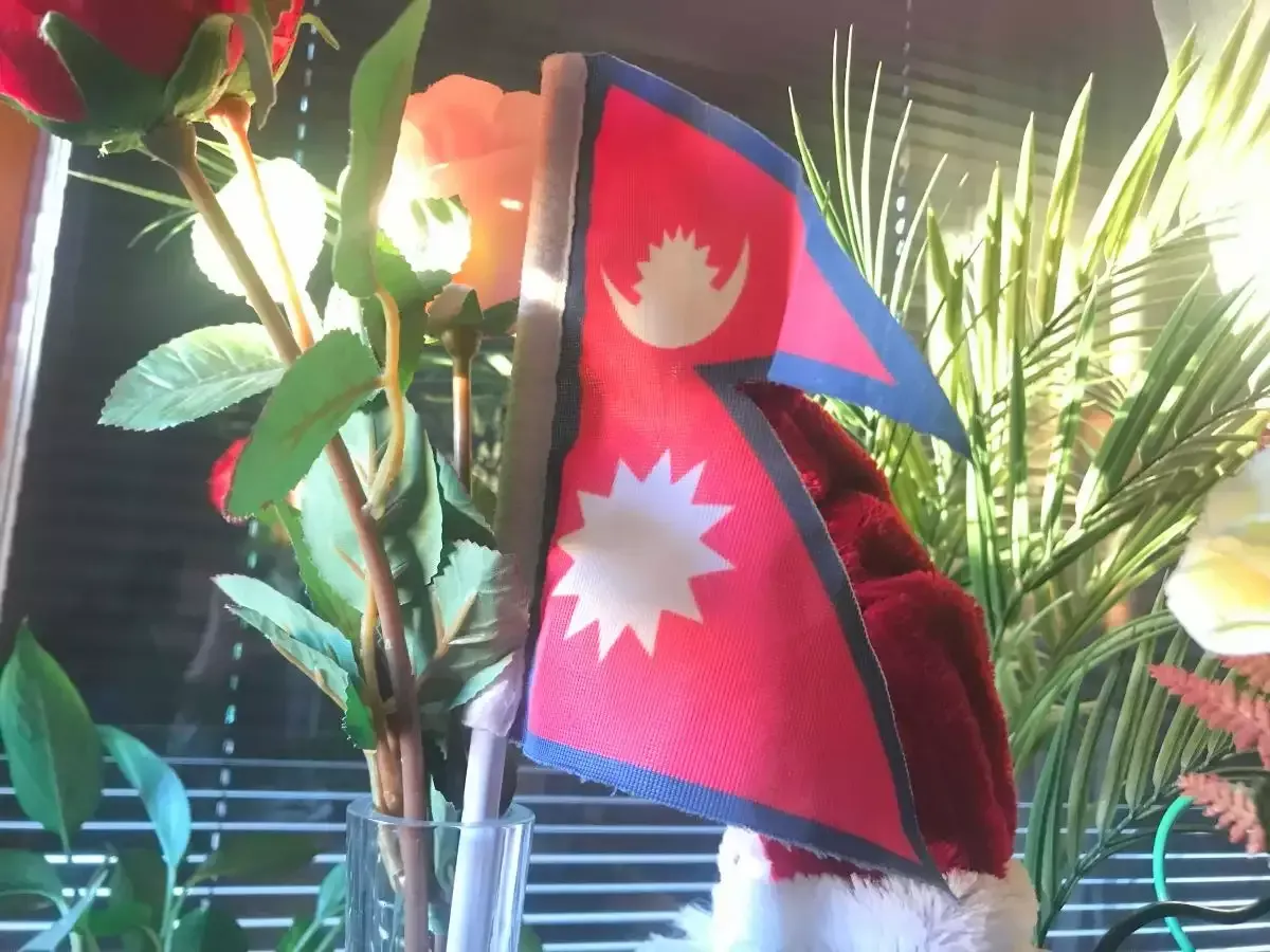 Why should one have a national flag while studying abroad?